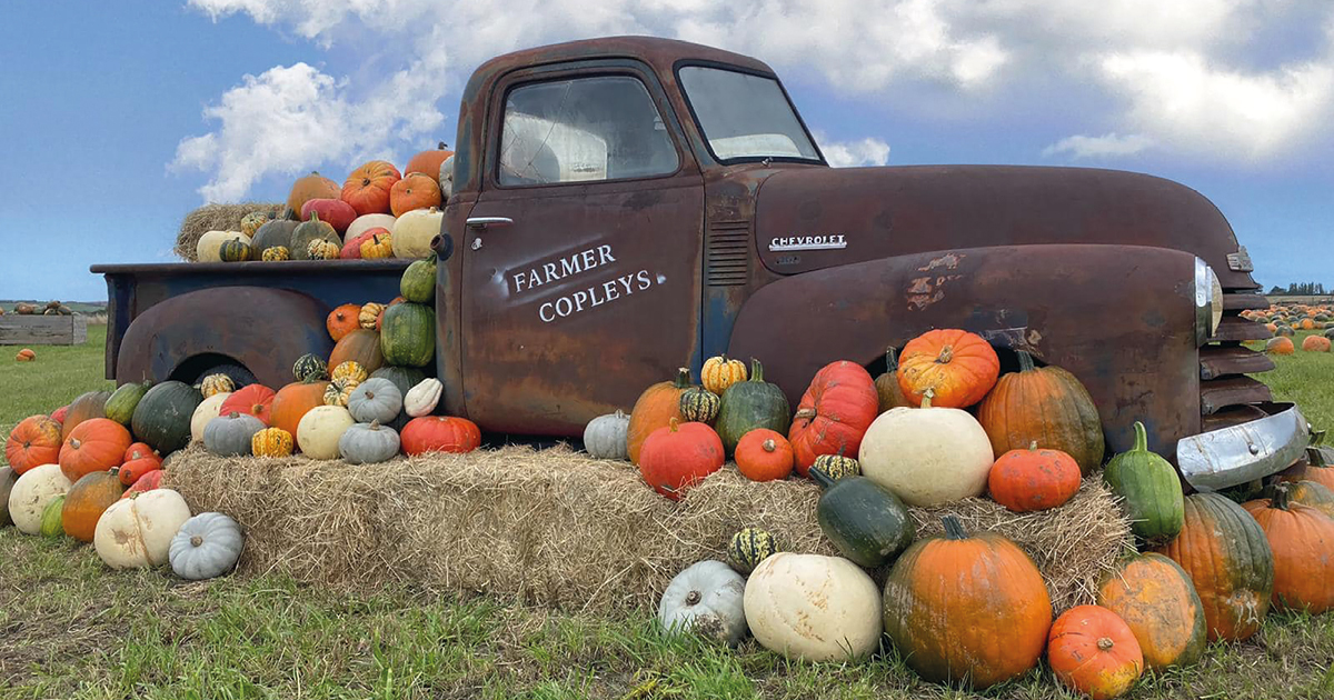Meet the Farmers Who Run the Pick Your Own Pumpkin Festival in