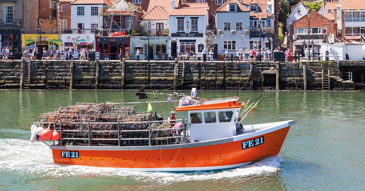 Discover Whitby Harbour's New Lobster Hatchery Which is Fighting to